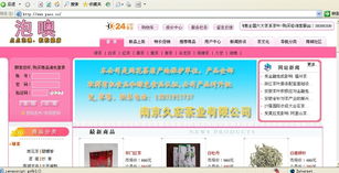 攜手構(gòu)建卓越商品銷售網(wǎng)站 任務(wù)交流與開發(fā)策略指南